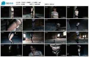 【半岛束艺】古墓丽影（上下完整版）-绳艺资料库